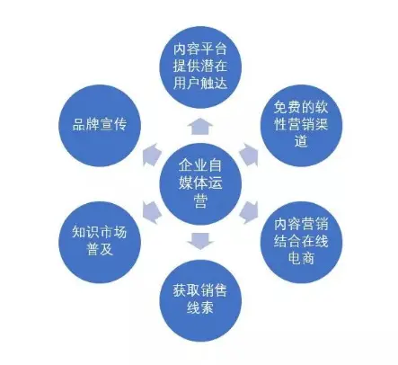 1560916517267091615.png